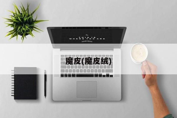 魔皮(魔皮绒)