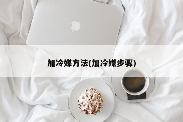 加冷媒方法(加冷媒步骤)