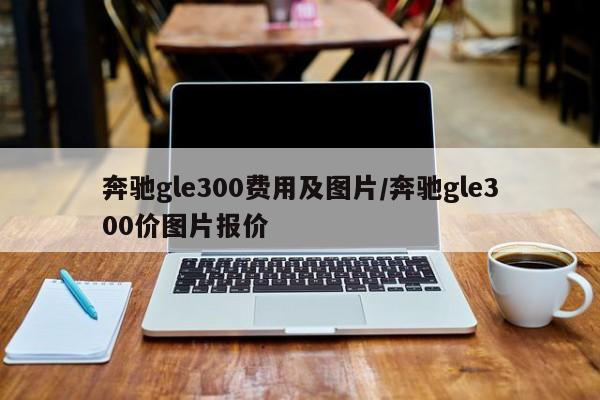 奔驰gle300费用及图片/奔驰gle300价图片报价