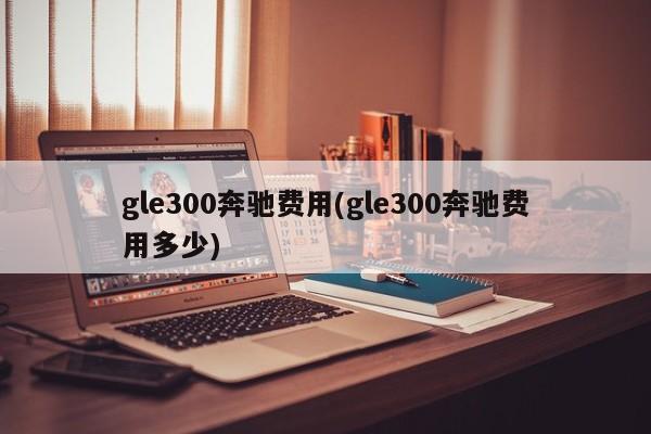 gle300奔驰费用(gle300奔驰费用多少)