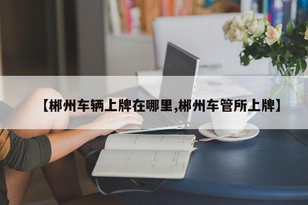 【郴州车辆上牌在哪里,郴州车管所上牌】