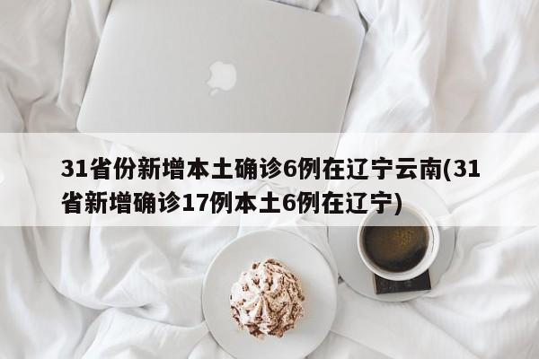 31省份新增本土确诊6例在辽宁云南(31省新增确诊17例本土6例在辽宁)