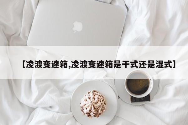 【凌渡变速箱,凌渡变速箱是干式还是湿式】