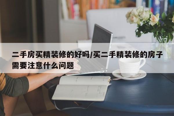 二手房买精装修的好吗/买二手精装修的房子需要注意什么问题