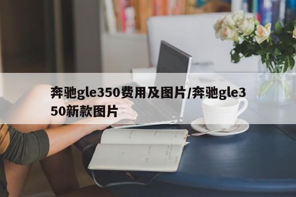 奔驰gle350费用及图片/奔驰gle350新款图片