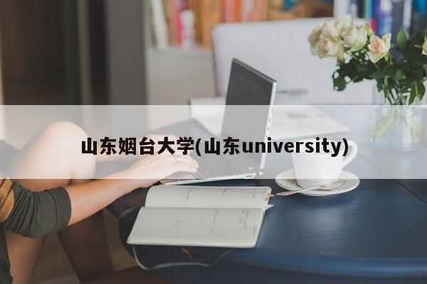 山东姻台大学(山东university)