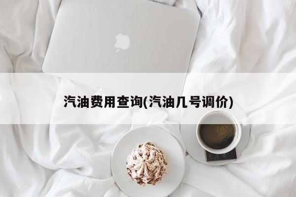 汽油费用查询(汽油几号调价)