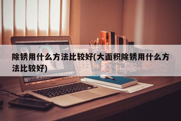 除锈用什么方法比较好(大面积除锈用什么方法比较好)
