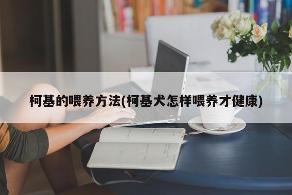 柯基的喂养方法(柯基犬怎样喂养才健康)