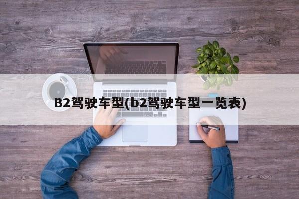 B2驾驶车型(b2驾驶车型一览表)