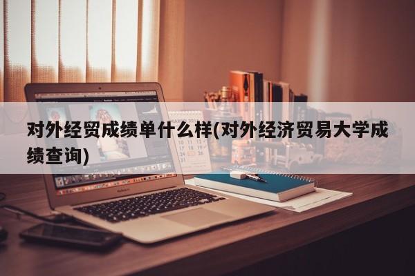 对外经贸成绩单什么样(对外经济贸易大学成绩查询)