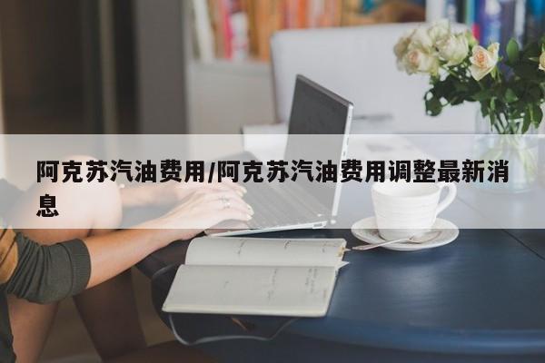 阿克苏汽油费用/阿克苏汽油费用调整最新消息