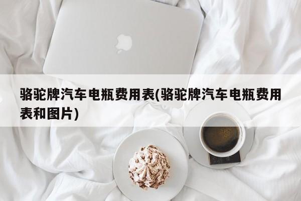 骆驼牌汽车电瓶费用表(骆驼牌汽车电瓶费用表和图片)
