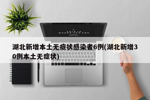 湖北新增本土无症状感染者6例(湖北新增30例本土无症状)