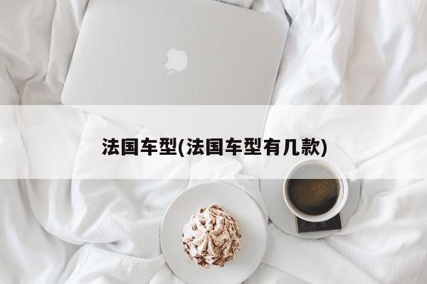法国车型(法国车型有几款)