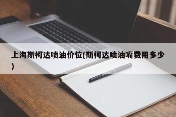 上海斯柯达喷油价位(斯柯达喷油嘴费用多少)