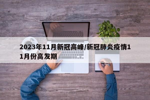 2023年11月新冠高峰/新冠肺炎疫情11月份高发期