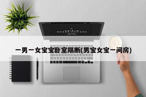 一男一女宝宝卧室隔断(男宝女宝一间房)