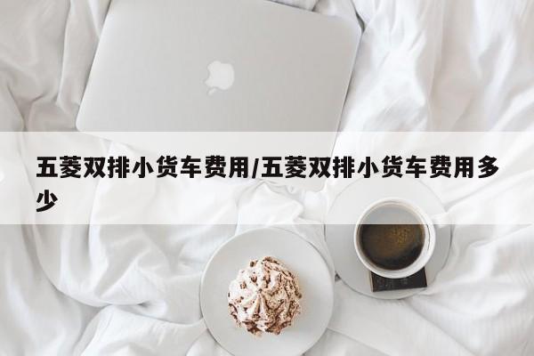五菱双排小货车费用/五菱双排小货车费用多少