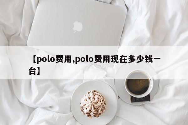 【polo费用,polo费用现在多少钱一台】