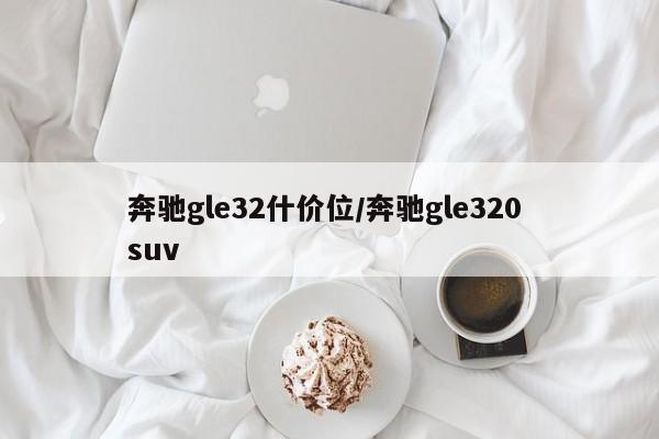 奔驰gle32什价位/奔驰gle320 suv